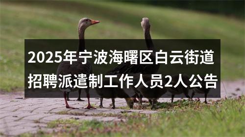 2025年宁波海曙区白云街道招聘派遣制工作人员2人公告 图片