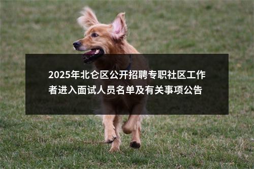 2025年北仑区公开招聘专职社区工作者进入面试人员名单及有关事项公告 图片