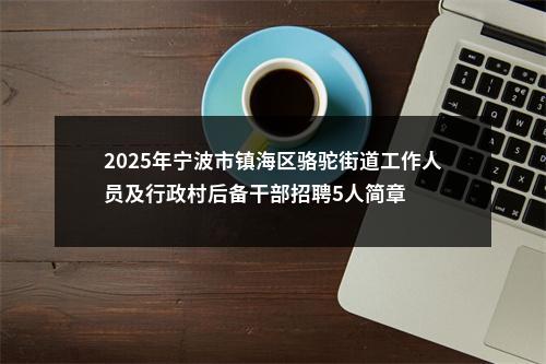 2025年宁波市镇海区骆驼街道工作人员及行政村后备干部招聘5人简章 图片