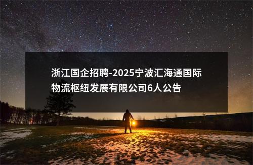 浙江国企招聘-2025宁波汇海通国际物流枢纽发展有限公司6人公告 图片