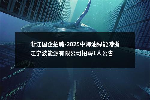 浙江国企招聘-2025中海油绿能港浙江宁波能源有限公司招聘1人公告 图片